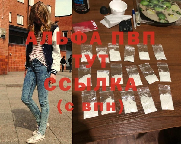 гашик Абаза