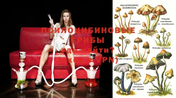 гашик Абаза